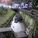 113_4895_JPG-1325120961