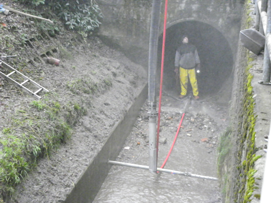 113_4902_JPG-1325120999