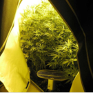 image001.png