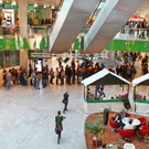 normal_29122011fmt_shopingmania_09.JPG