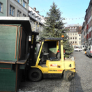 DSCN9060_jpg-1325227908