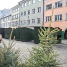 DSCN9091_jpg-1325228368