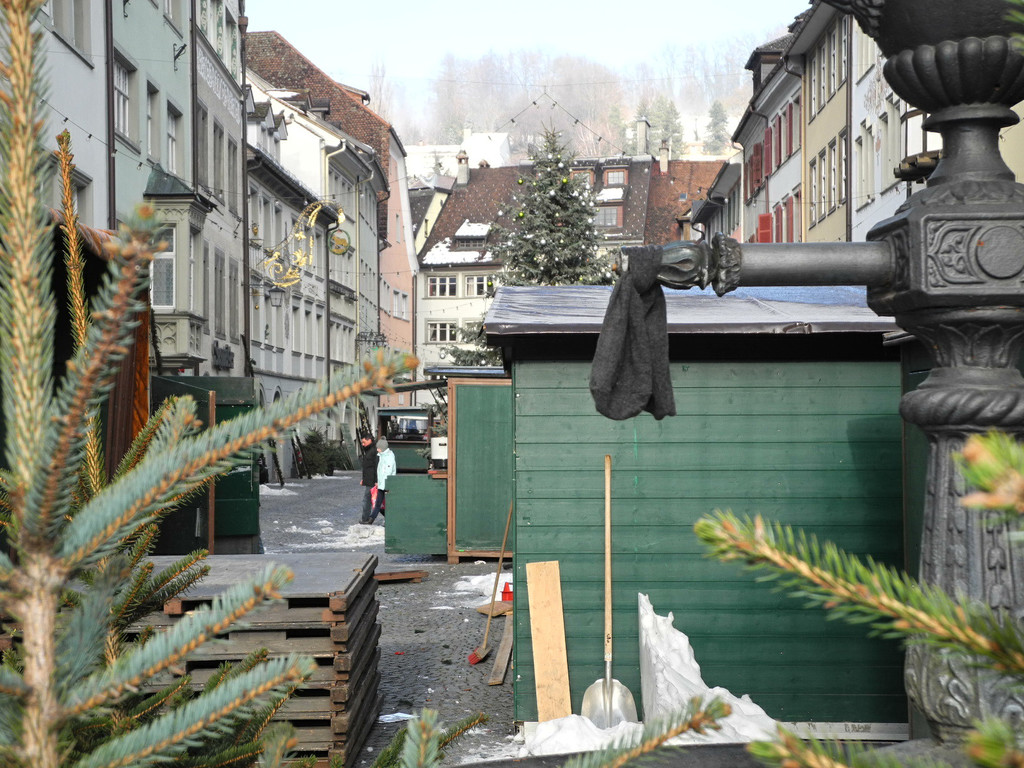 DSCN9100_jpg-1325228505