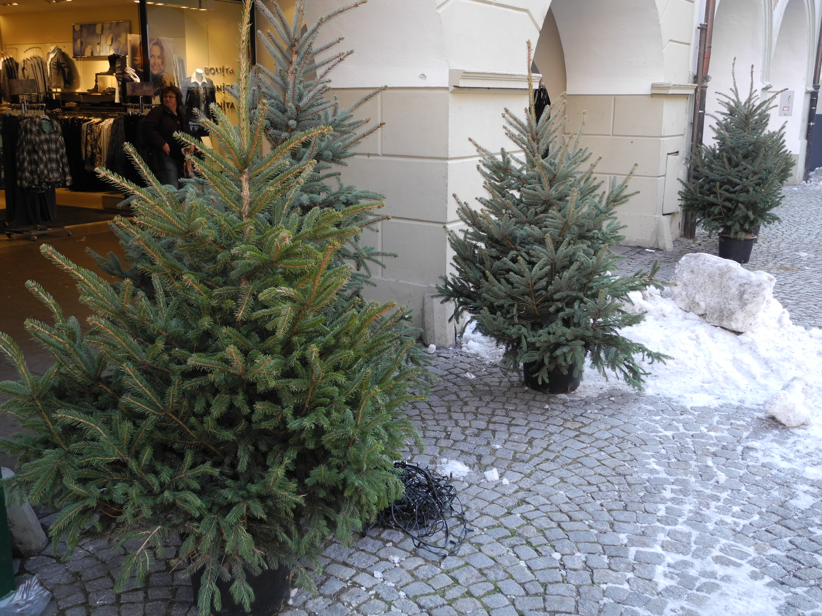 DSCN9109_JPG-1325228616