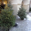 DSCN9109_JPG-1325228616