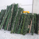 DSCN9110_JPG-1325228639