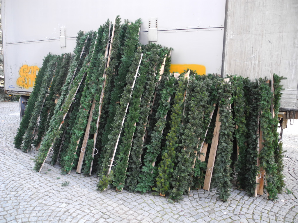 DSCN9110_JPG-1325228639