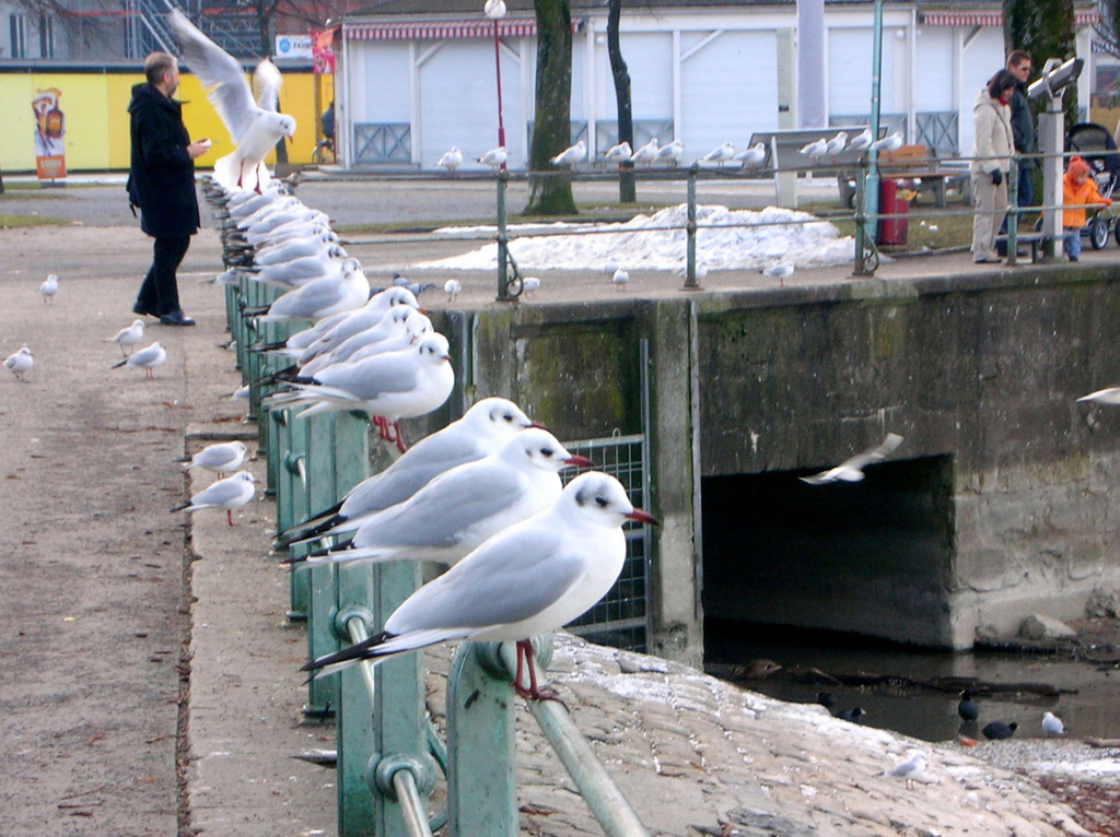 neujahr_seeufer35_jpg-1325426927