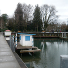 neujahr_seeufer01_jpg-1325426488