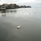 neujahr_seeufer02_jpg-1325426498