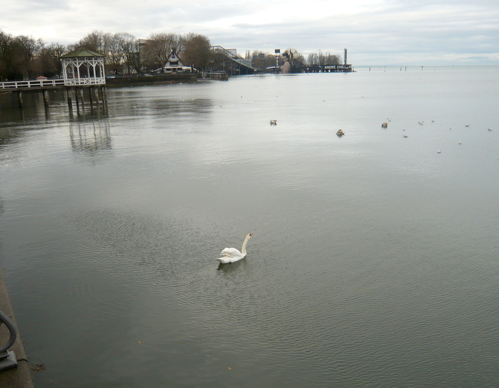 neujahr_seeufer02_jpg-1325426498