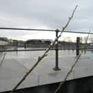 neujahr_seeufer06_jpg-1325426541