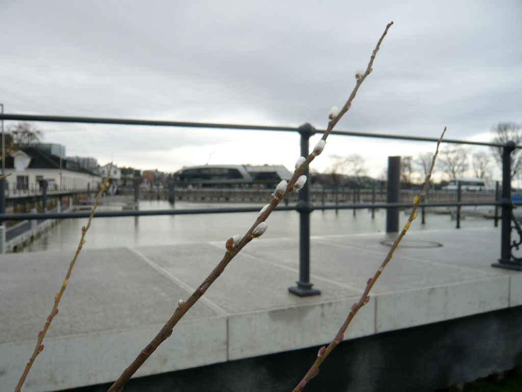 neujahr_seeufer06_jpg-1325426541