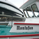 neujahr_seeufer08_jpg-1325426561