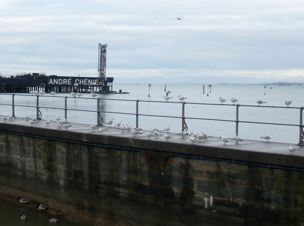 neujahr_seeufer11_jpg-1325426594