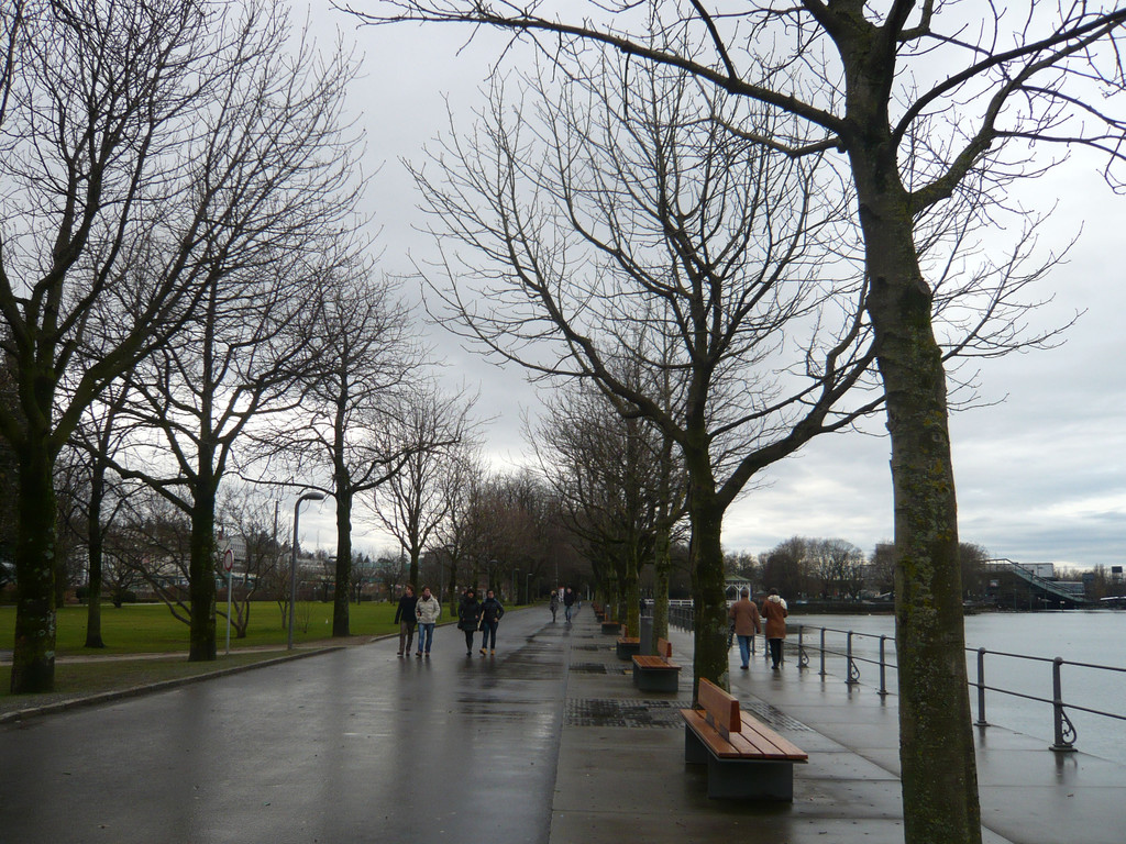 neujahr_seeufer13_jpg-1325426621