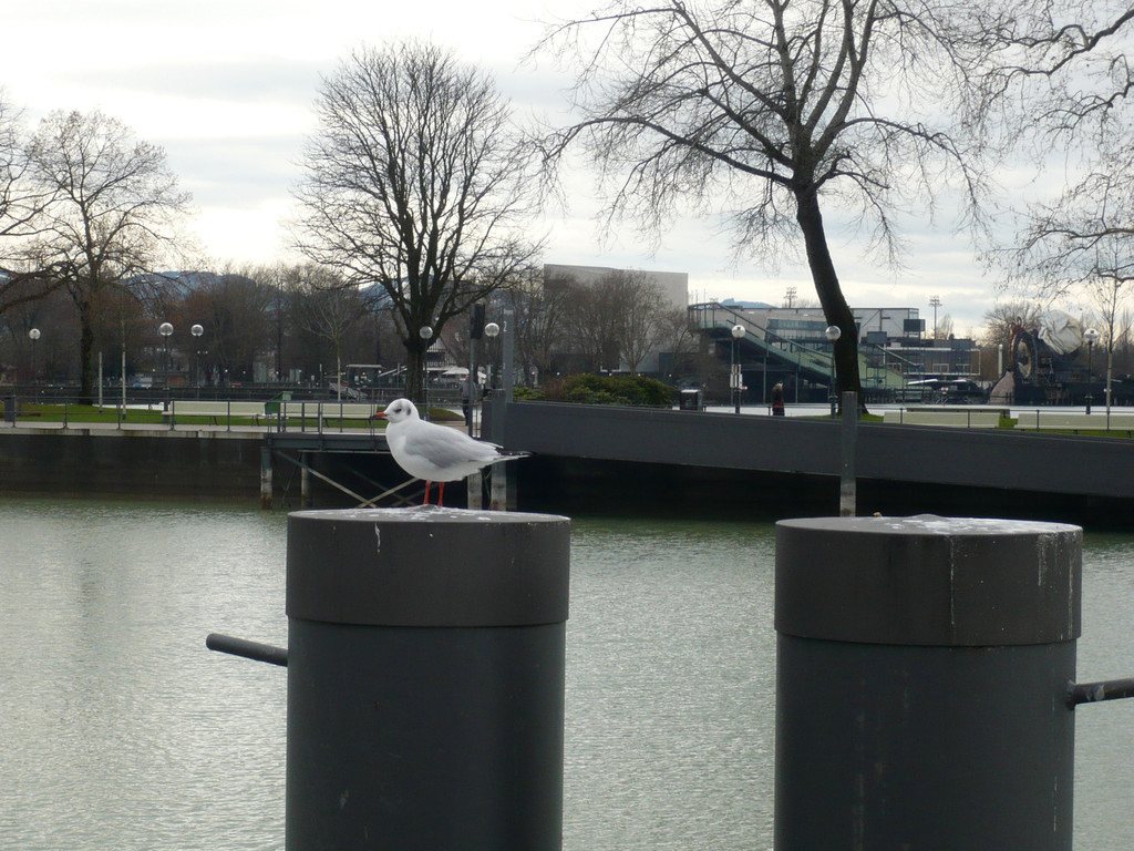 neujahr_seeufer14_jpg-1325426634