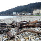 neujahr_seeufer15_jpg-1325426647