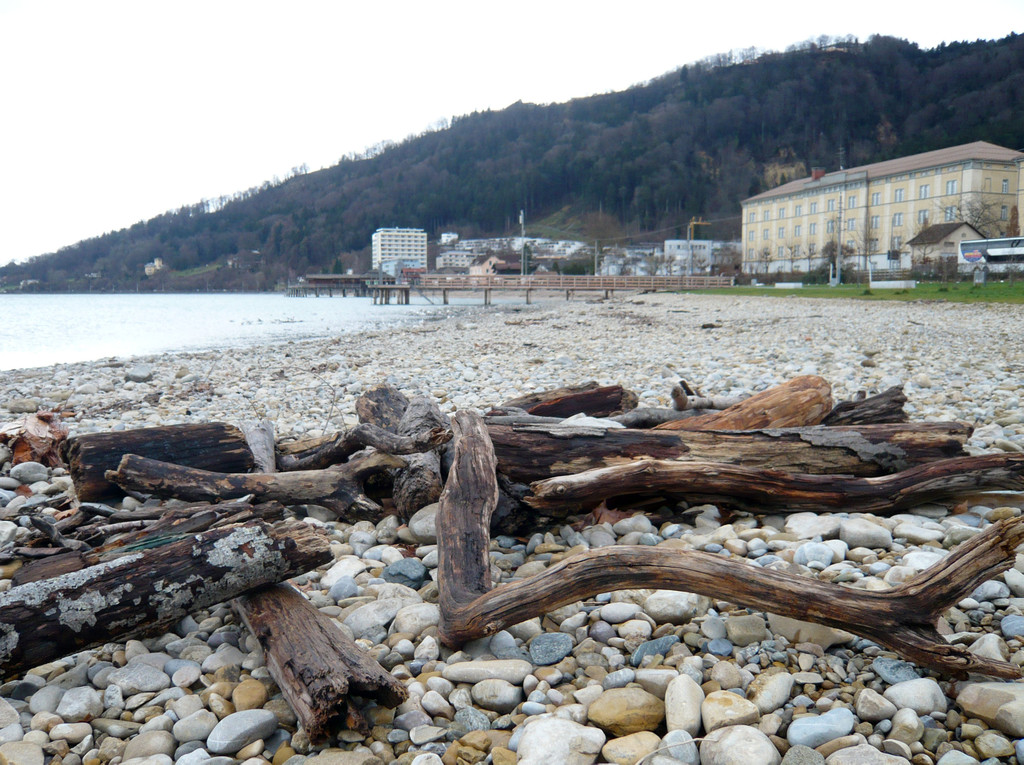 neujahr_seeufer15_jpg-1325426647