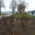 neujahr_seeufer16_jpg-1325426667