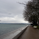 neujahr_seeufer18_jpg-1325426698