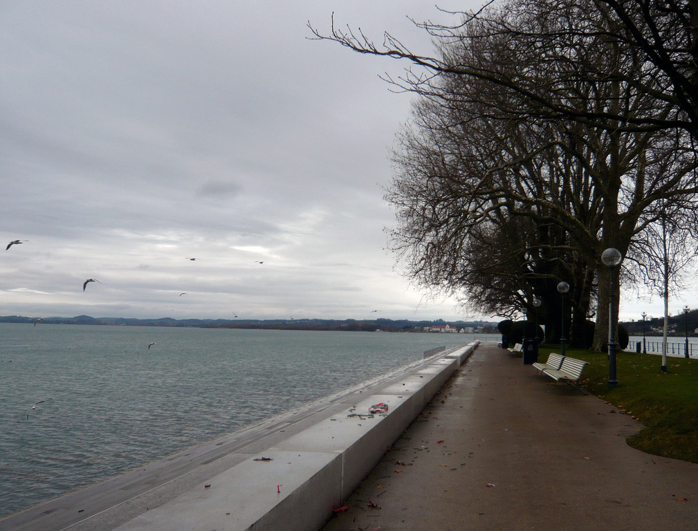 neujahr_seeufer18_jpg-1325426698