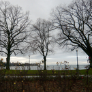 neujahr_seeufer20_jpg-1325426730