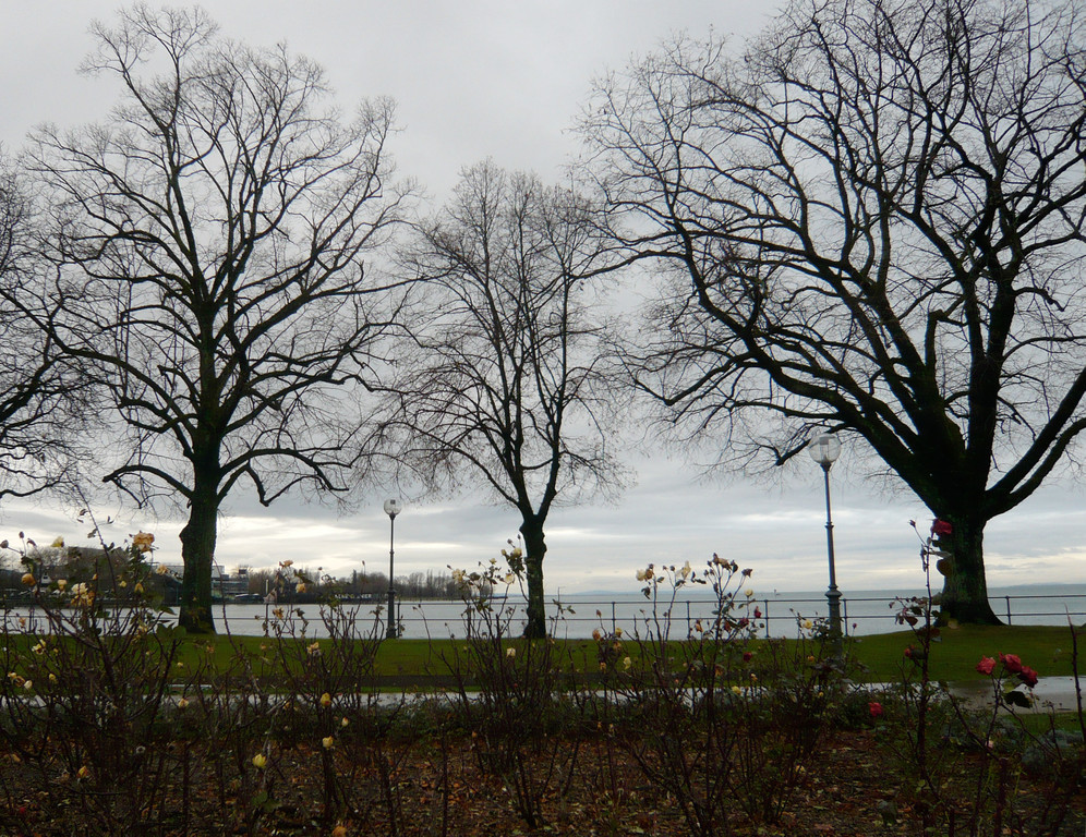 neujahr_seeufer20_jpg-1325426730