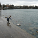 neujahr_seeufer24_jpg-1325426778