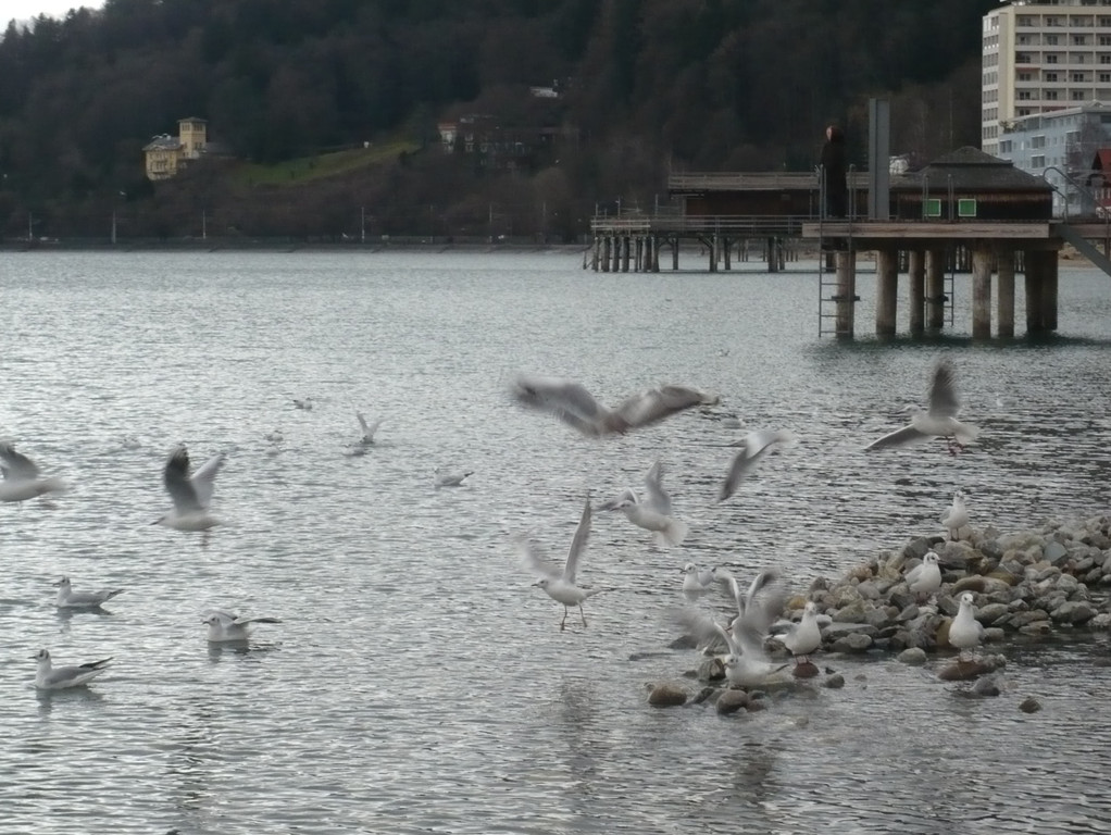 neujahr_seeufer26_jpg-1325426798