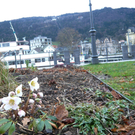 neujahr_seeufer27_jpg-1325426815