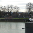 neujahr_seeufer31_jpg-1325426875