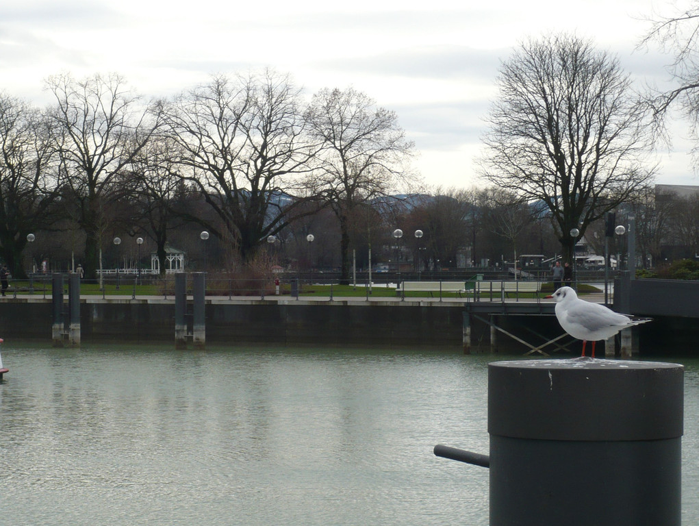 neujahr_seeufer31_jpg-1325426875