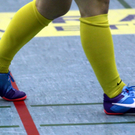 Wolfurt Halle 15 2011 172.jpg