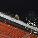 01012012perchtenat04002aktivnews038.JPG
