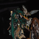01012012perchtenat04002aktivnews055.JPG