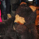 01012012perchtenat04002aktivnews067.JPG
