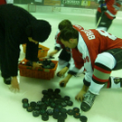 Pascal8aPucks_jpg-1325540244