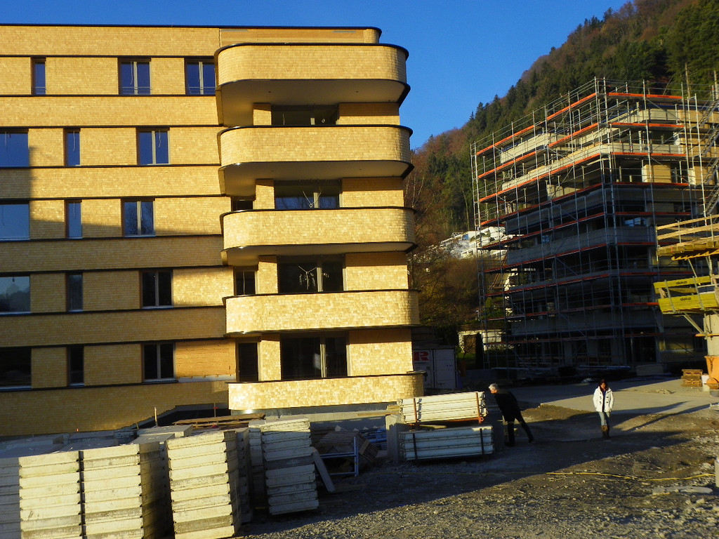 113_2945_JPG-1325545933