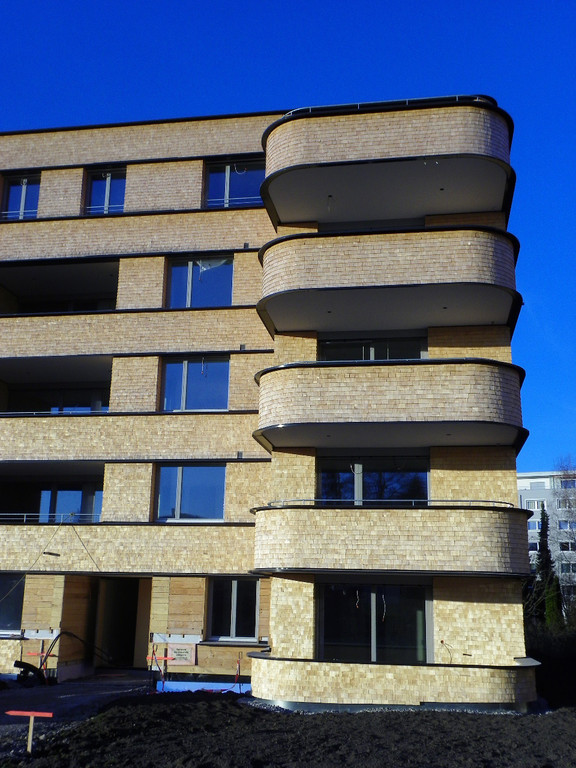 113_2940_JPG-1325545904