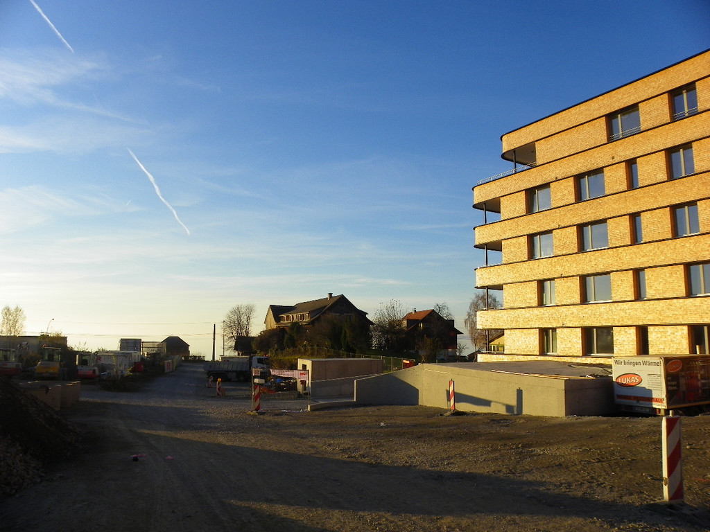 113_2949_JPG-1325545949