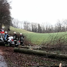 02012012vubaumde01001aktivnews_07.jpg
