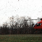 02012012vubaumde01001aktivnews_29.jpg