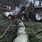 02012012vubaumde01001aktivnews_43.jpg