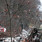 02012012vubaumde01001aktivnews_45.jpg