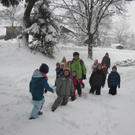 kleinste Tannenbaum 097.JPG