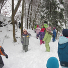 kleinste Tannenbaum 098.JPG