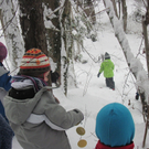 kleinste Tannenbaum 100.JPG