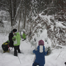 kleinste Tannenbaum 101.JPG