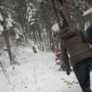 kleinste Tannenbaum 102.JPG